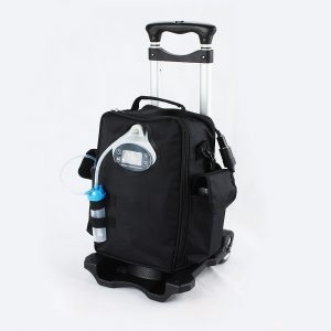 mask high concentration + non rebreathing bag – adult