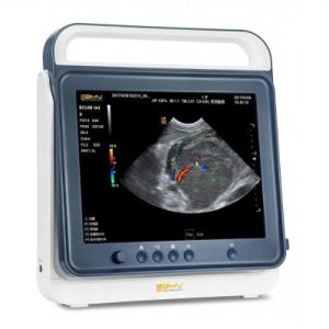 PT50C Touch Color Doppler Ultrasound Scanner System