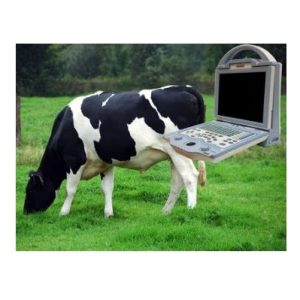 KX5600V Vet Ultrasound Machine