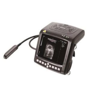 KX5200 VET Big Animal Ultrasound Scanner