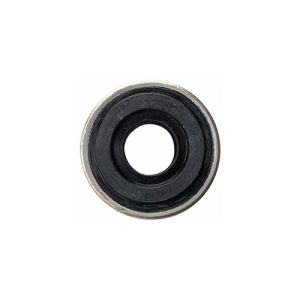 Oxygen Regulator – Bodok Seal