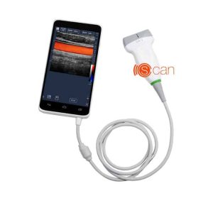 C-SCAN
