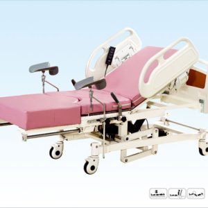 Electric Multifunctional Delivery 
Bed