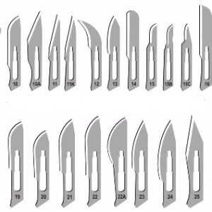 Disposable Sterile Scalpel Blade & Handle (10/Box)