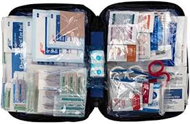 12 survivors first aid rollup kit