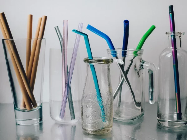 100 compostable straws