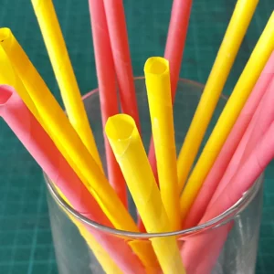 disposable bamboo cutlery