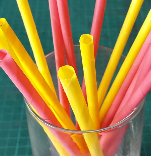 plastic utensils reusable