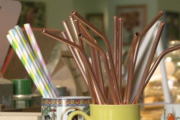 200 plastic forks