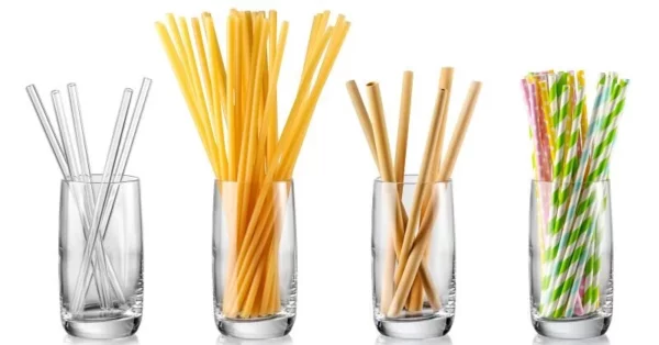 halloween paper straws