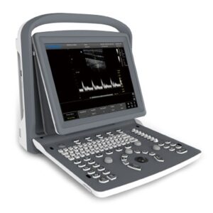 Ultrasound Black/white high end portable monitor
