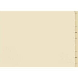 Lateral Document Files – Foolscap – Heavy Weight – 233gsm – Pack of 180 – FILLHW400