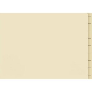 Lateral Document Files – Foolscap – Heavy Weight – 233gsm – Pack of 180 – FILLHW400