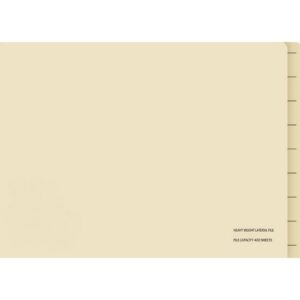 Lateral Document Files – Foolscap – Heavy Weight – 233gsm – A4 – Pack of 200 – FILLHW200
