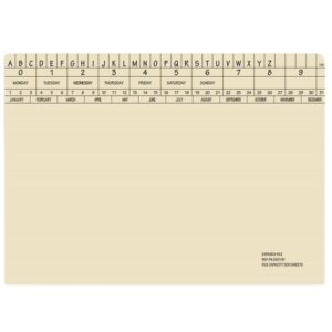 Retrieval Document Files – Includes Clip – Expanda Heavy Weight – 326gsm – A4 – Pack of 60 – FIL500C