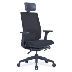 Ergonomic Office Chair – With Headrest – EOFFWHR