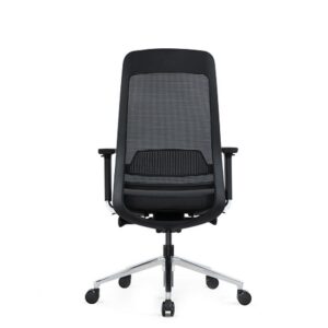 Ergonomic Executive Chair – Without Headrest – EEXEC