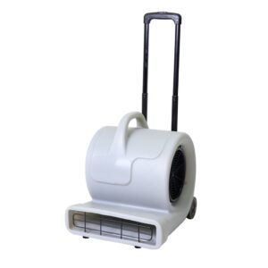 Carpet Blower Dryer – 850W – CMVA-1001