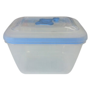 Glory airtight rectangular 1Lt