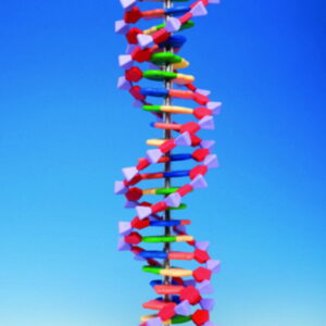 Protein Kit RNA-12 PS
