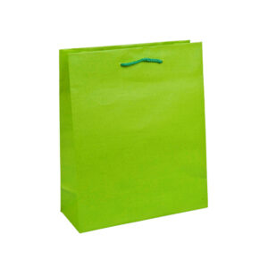 Lime Green A4 paper carrier bag with cord handles