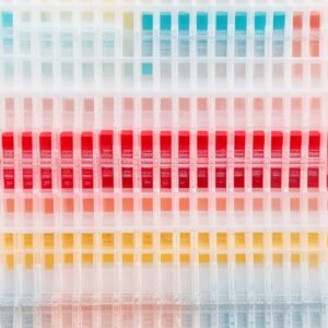 clear blue pregnancy test