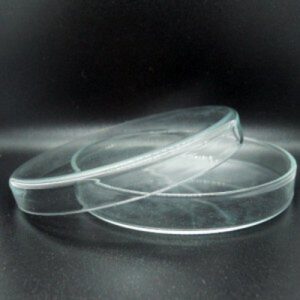 Petri Dish Glass 100mm
