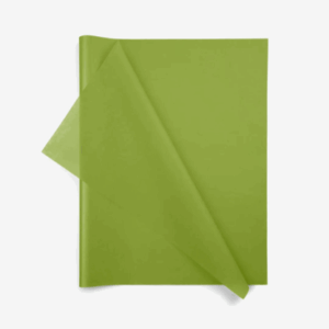 Aloe Green Wrapping Tissue (24 Sheet Pack)