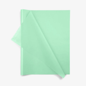 Cool Mint Wrapping Tissue (24 Sheet Pack)