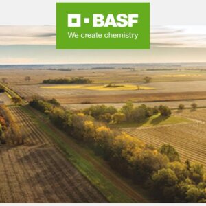 Insecticide Acrobat MZ