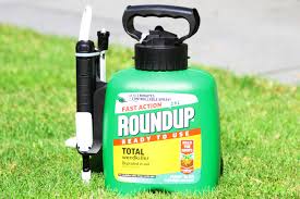 Efekto ready to use roundup weedkiller 1l 33522