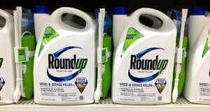 roundup landscape weed preventer