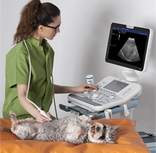 Small Animal ULTRASOUND SCANNER
