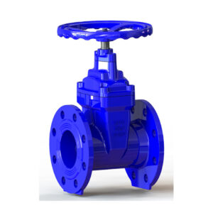 Gate Valve Resilient Seated 300Mm (12″)
