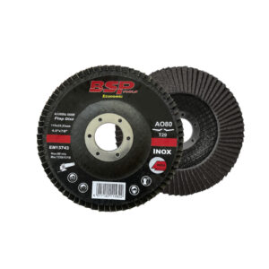 Binic Eco Flap Disc 115X22-24X16Mm (80) 10Pc
