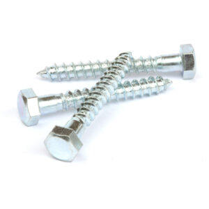Ifasten Coach Screw M12X90Mm 10 Pp