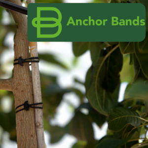 Bandex Anchor Band 120X5Mm – 1Kg