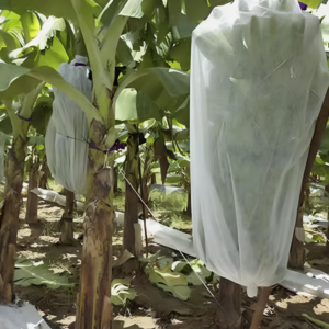 Grow Fruit Protect Banana Bag 85X160-500