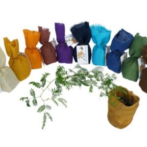 My Tree Starter Packs (Bag) Medium: 150*150*200mm – Min Order: 2