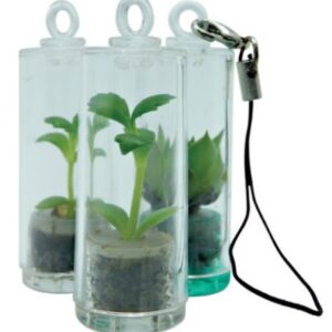 Baby Pet Plants – Includes 1 Colour Print on capsule & 1 Side (F