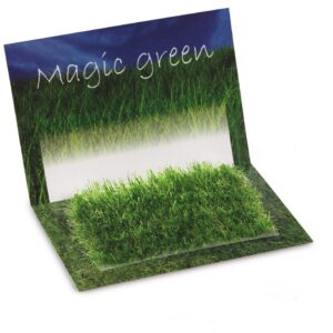 Greeting card containing grass seeds. Delivered in polybag with