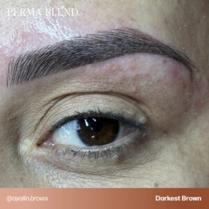 Perma Blend Darkest Brown