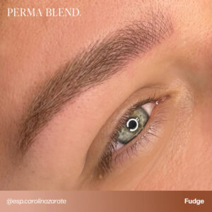 Perma Blend Fudge