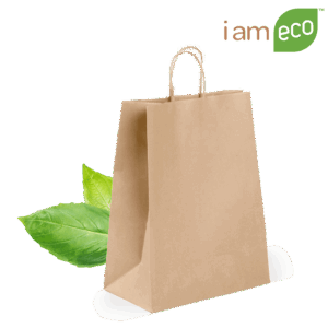 Large Heavy Duty Paper Shopping Bag
