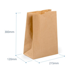 Medium Plain Paper Bag
