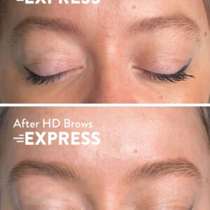 HD Brows Express Online Course