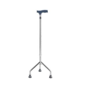 Walking Stick ? Tripod