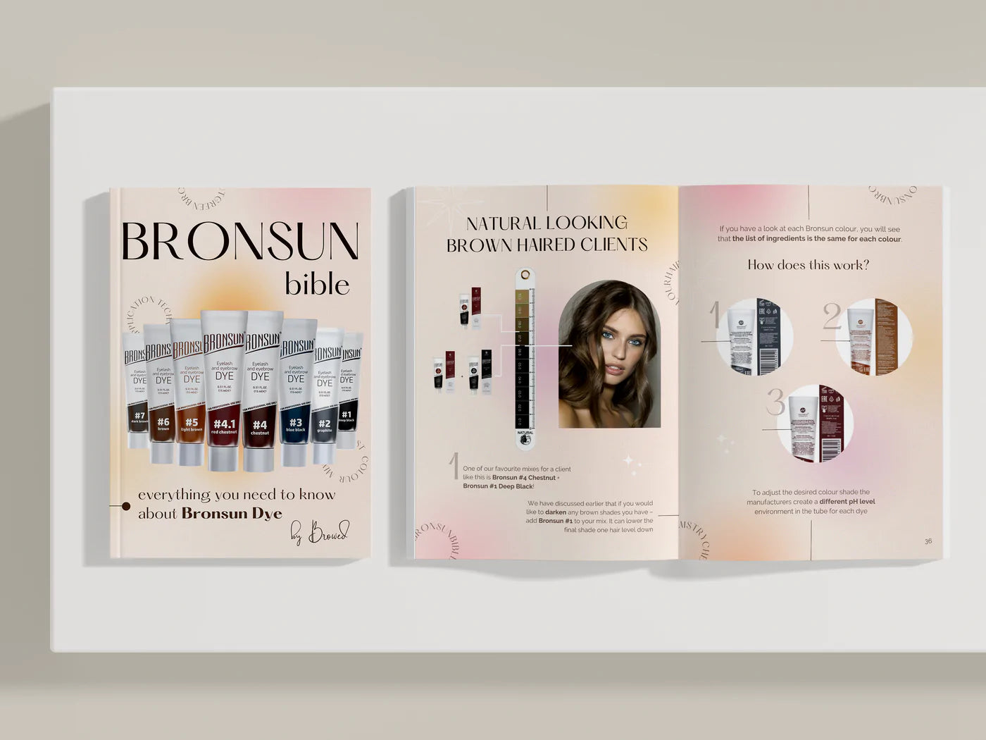 Bronsun Bible - Everything you need to know about Bronsun in a book - Image 2