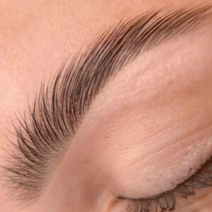 Refectocil Brow Lamination – Correspondence Course with kit