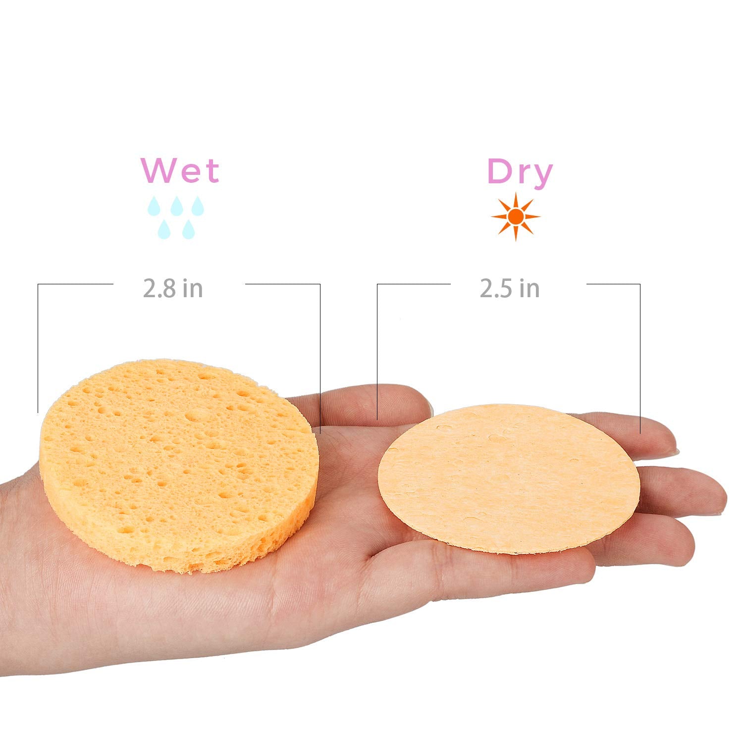 Cellulose yellow compressed sponge - Image 4